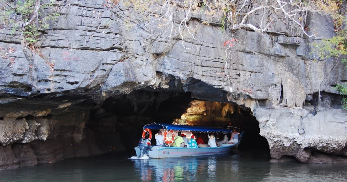 Kilim Geoforest Mangrove Kayaking 4hr (min 2pax) — photo from the tour