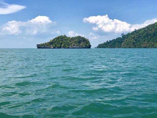 Kilim Geoforest Mangrove Kayaking 4hr (min 2pax): photo 2 of 2