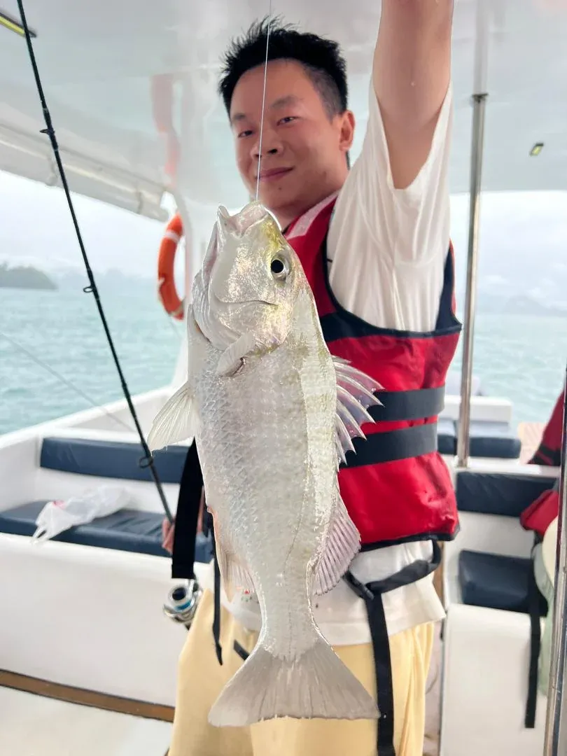 Fishing Sharing Speedboat 4hr photo 2