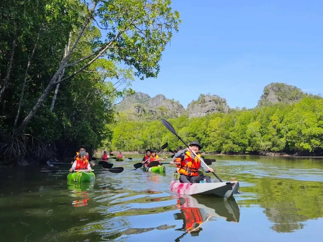 Kilim Geoforest Mangrove Kayaking 4hr (min 2pax), photo 2 of 14