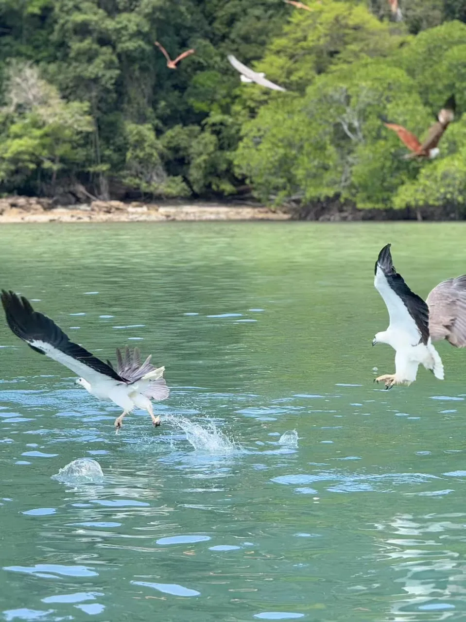 5in1 Island Hopping — Sharing — photo from the tour