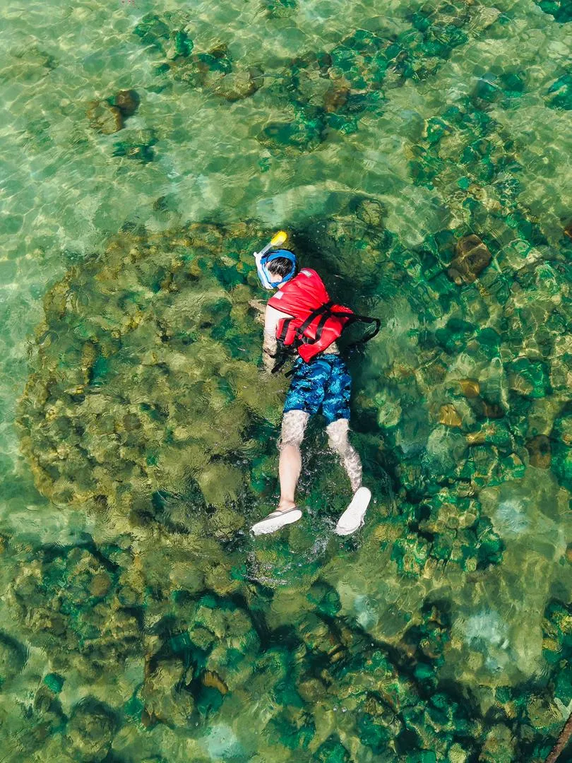 5in1 Island Hopping — Sharing — photo from the tour