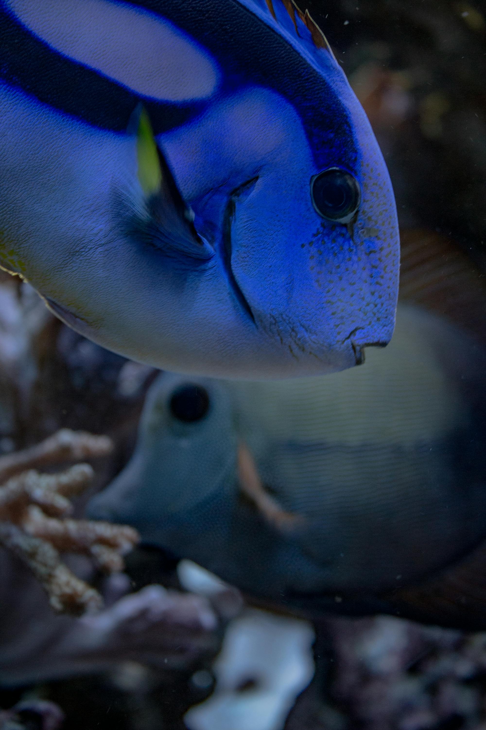 Underwater World Langkawi — photo from the tour