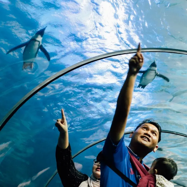 Underwater World Langkawi — photo from the tour