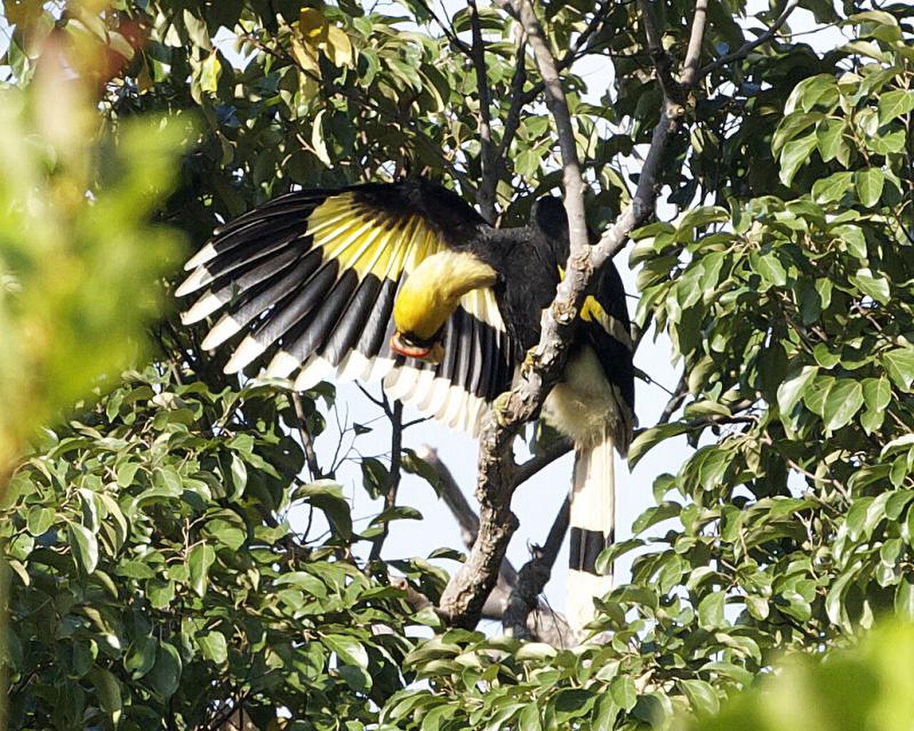 Langkawi Wildlife Park photo 2