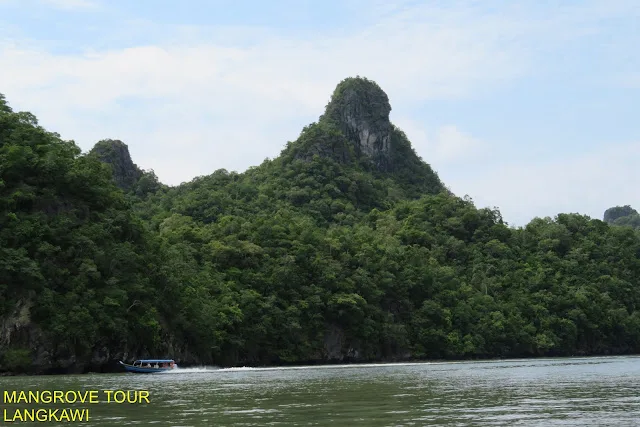 Mangrove Private Standard Boat (1-18): photo 1 of 2