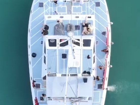 Free Soul Sailing Cat (15-35) photo 3