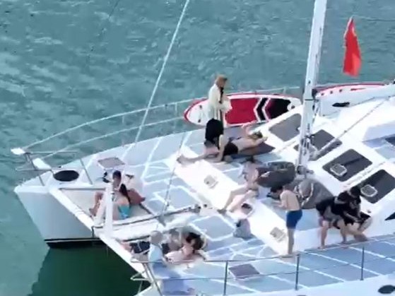 Free Soul Sailing Cat (15-35) photo 5