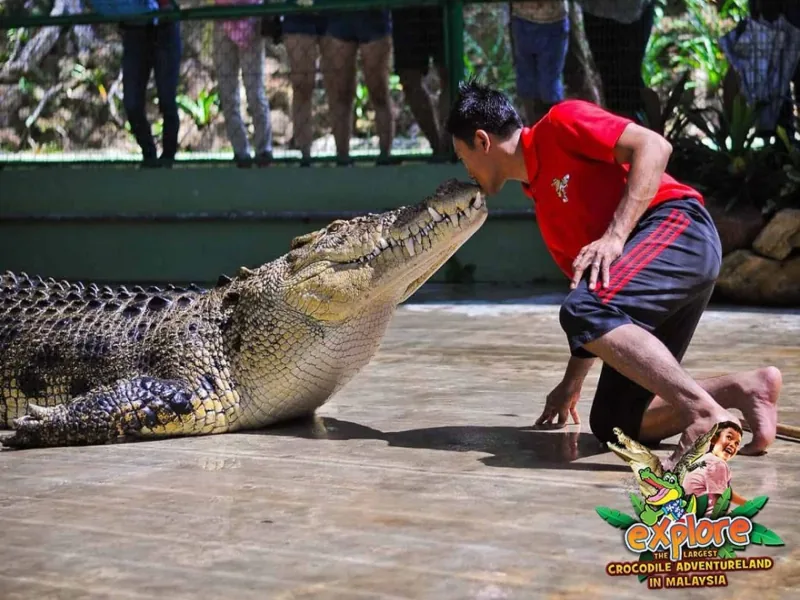 Crocodile Adventure Combo photo 2