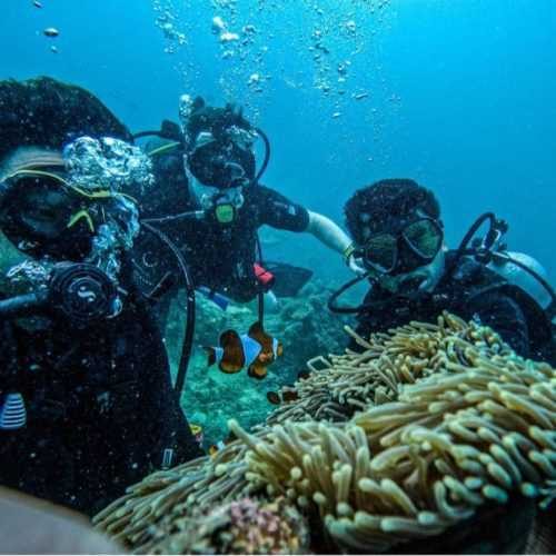 Pulau Payar Fun Dive 6hr photo 4
